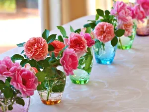 Experience The Beauty Of Freshly Blooming Roses Wallpaper