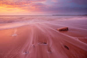 Experience The Beauty Of Pink Sand Beach Wallpaper