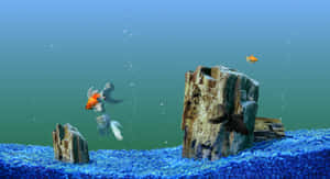 Experience The Beauty Of Underwater Life In Your Own Home With An Aquarium Fish Tank Wallpaper