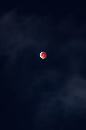 Experience The Classic Red And Black Color Combination On The Latest Iphone Wallpaper