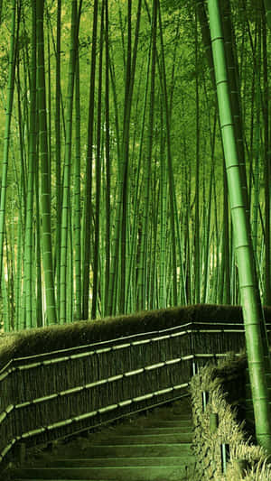 Experience The Futuristic Power Of Bamboo Phone Wallpaper