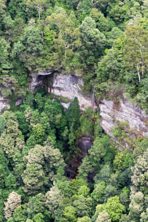 Experience The Magic Of Blue Mountains National Park Wallpaper