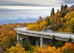 Experience The Magic Of Blue Ridge Parkway Wallpaper