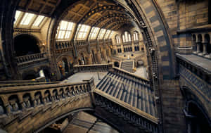 Experience The Wonder Of Museums Wallpaper