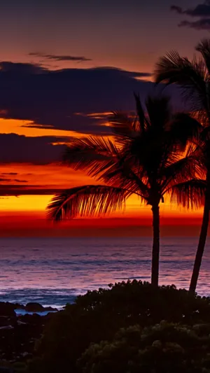 Experience Unforgettable Holidays In Hawaii Wallpaper