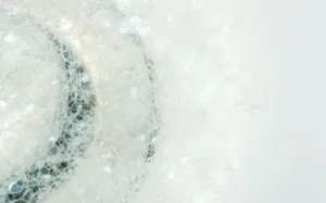 Explore A World Of Fragrance