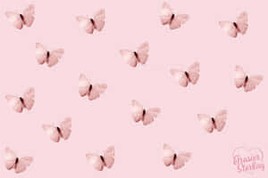 Explore The Intricacies Of Nature With Butterflies Laptop Wallpaper