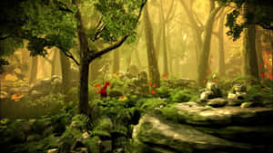 Explore The Magical Fairy Forest Wallpaper