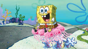 Explore The Majestic Beauty Of Jellyfish Fields Wallpaper