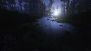 Explore The Mysterious Beauty Of The Night Forest Wallpaper