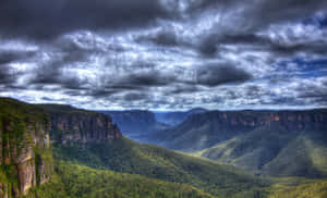 Explore The Natural Wonders Of Blue Mountains National Park Wallpaper