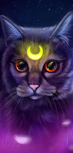 Explore The Night Sky With This Adventurous Galaxy Cat Wallpaper
