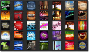 Explore The Rich Vibrancy Of Music Genres