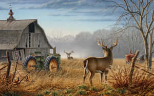 Explore The Wilderness With A Whitetail Deer Wallpaper