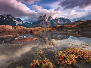 Explore The World, Discover New Beauty Wallpaper