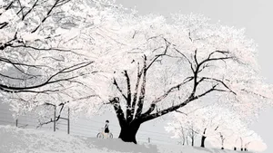 Explore The World Of Anime White Wallpaper