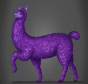 Explore The World With A Purple Alpaca Wallpaper