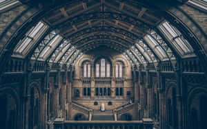 Exploring History In The Louvre Museum, Paris. Wallpaper