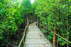 Exploring Nature Through Eco-tourism Wallpaper