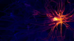 Exploring The Amazing Colors Of Plasma Wallpaper