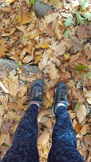 Exploring The Colorful Fall Foliage On A Hiking Adventure Wallpaper