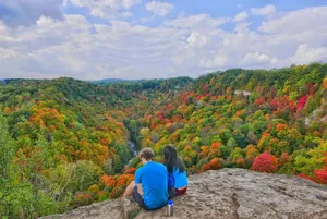 Exploring The Stunning Fall Colors During A Hike Through The Vibrant Forest Wallpaper