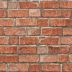 Exposed Tan Bricks Wallpaper