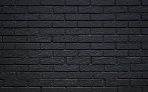 Exquisite Black Concrete Wall Background Wallpaper