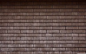 Exquisite Floral Art On A Colorful Wall Wallpaper