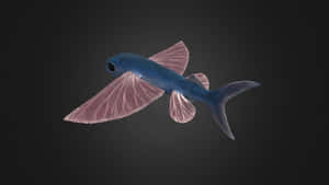 Exquisite Flying Fish Illustration Wallpaper