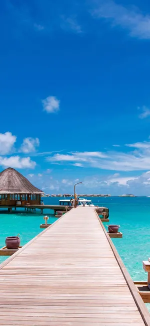 Exquisite High Definition Retina Display Wallpaper Wallpaper