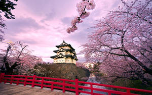 Exquisite Hirosaki Castle In Japan Wallpaper