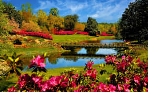 Exquisite Spring Garden In Pristine Condition Wallpaper