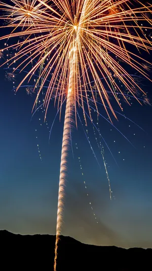 Extravagant Firework Holiday Iphone Wallpaper