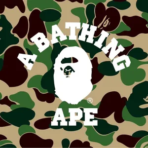 Eye-catching Camouflage Bape Logo Illustration Wallpaper