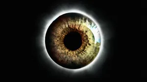 Eyeball As A Practical Symbol Wallpaper