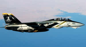 F14_ Jet_in_ Flight Wallpaper