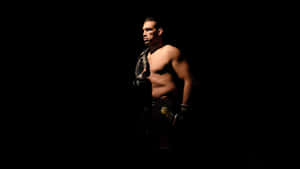 Fabricio Werdum Silhouette Photo Wallpaper