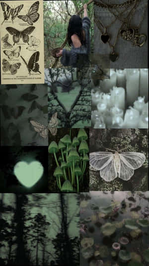 Fairy Grunge Aesthetic Collage Wallpaper