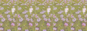 Fairycore Enchanted Meadow.jpg Wallpaper