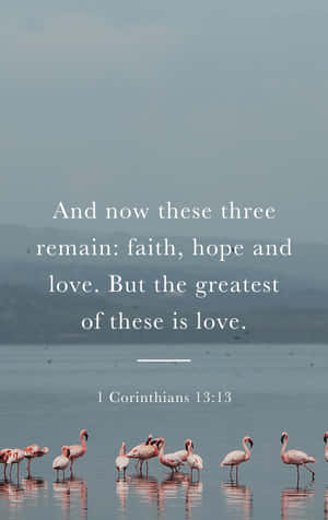 Faith Hope Love Flamingos Bible Verse Wallpaper
