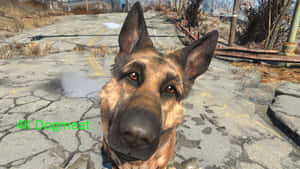 Faithful Companion: Dogmeat In Fallout 4 Wallpaper