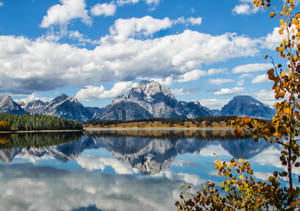 Fall Aesthetic Jackson Hole Wallpaper