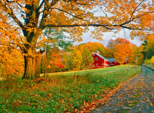 Fall Barn - A Picturesque Countryside Scene With A Rustic Barn Surrounded By Vibrant Autumn Colors Wallpaper