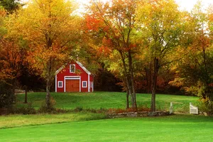 Fall Barn Surrounded By Colorful Foliage Wallpaper