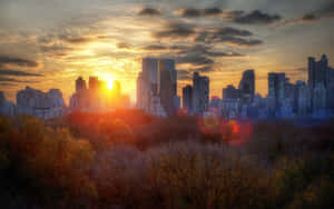 Fall City Scenic View Wallpaper