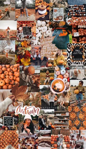 Fall Collage Orange And White Pumpkins Wallpaper