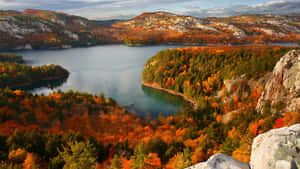 Fall Colors Forest And Mountain Wallpaper