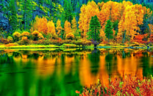 Fall Colors Trees By Lake Wallpaper