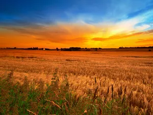 Fall Country Serenity Wallpaper